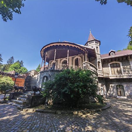 Hotel Castelul Stirbey Sinaia Exteriér fotografie