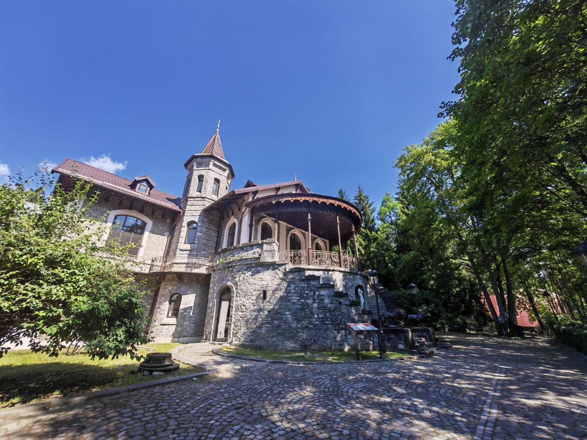 Hotel Castelul Stirbey Sinaia Exteriér fotografie