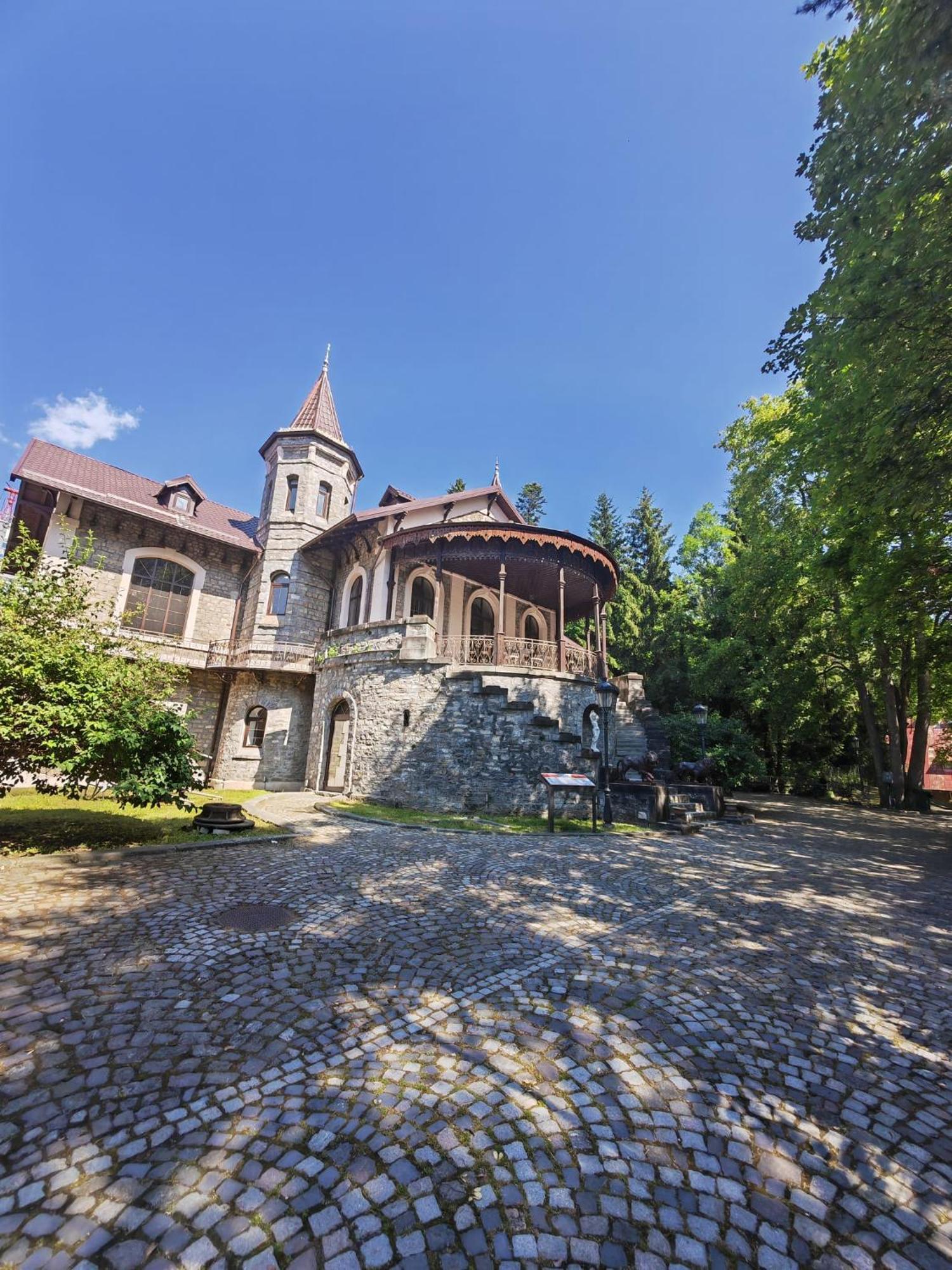 Hotel Castelul Stirbey Sinaia Exteriér fotografie