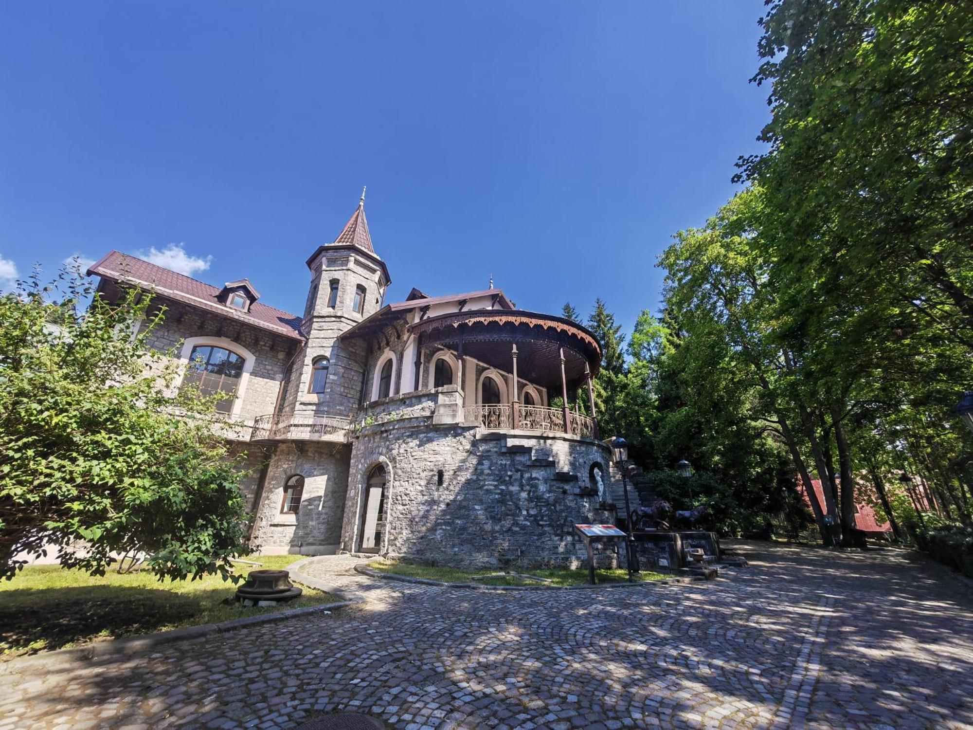 Hotel Castelul Stirbey Sinaia Exteriér fotografie